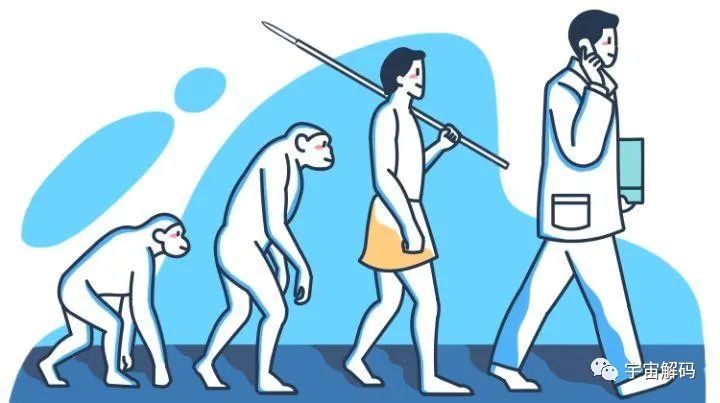 明明是最高等生物，人类生理结构却有很多不合理，为什么？