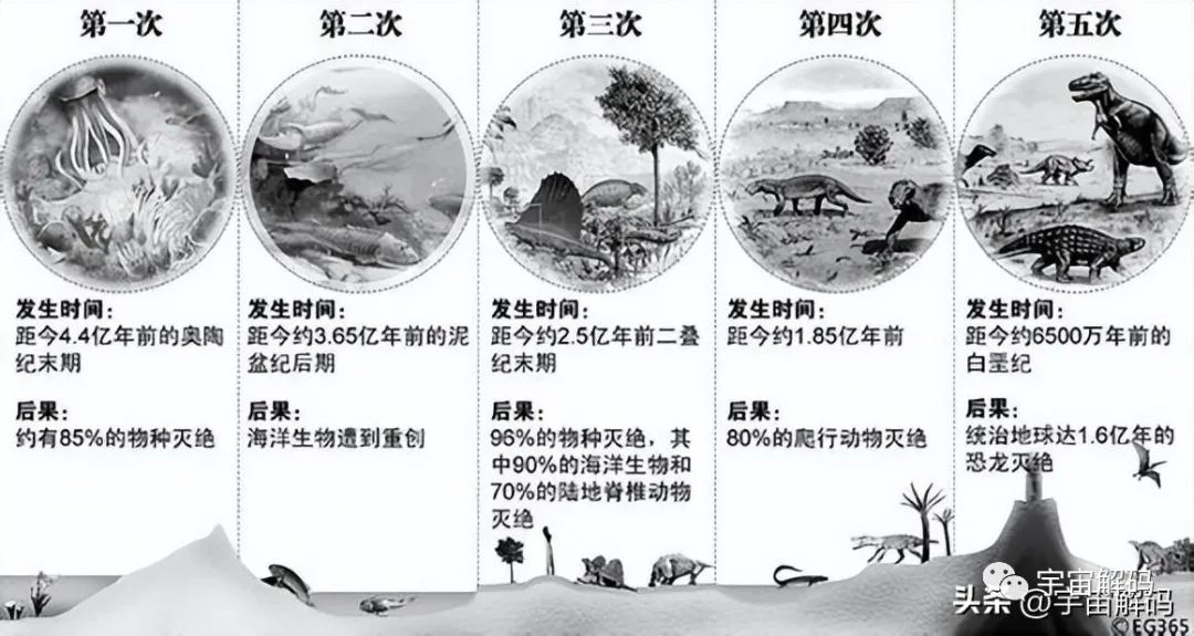 地球史上每6500万年一次的生物大灭绝，第六次已经拉开序幕