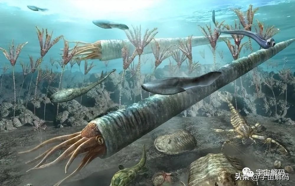地球史上每6500万年一次的生物大灭绝，第六次已经拉开序幕