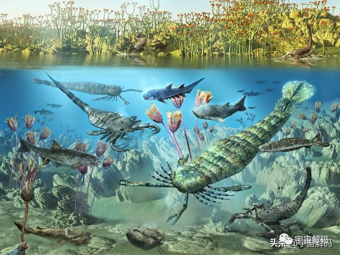 地球史上每6500万年一次的生物大灭绝，第六次已经拉开序幕
