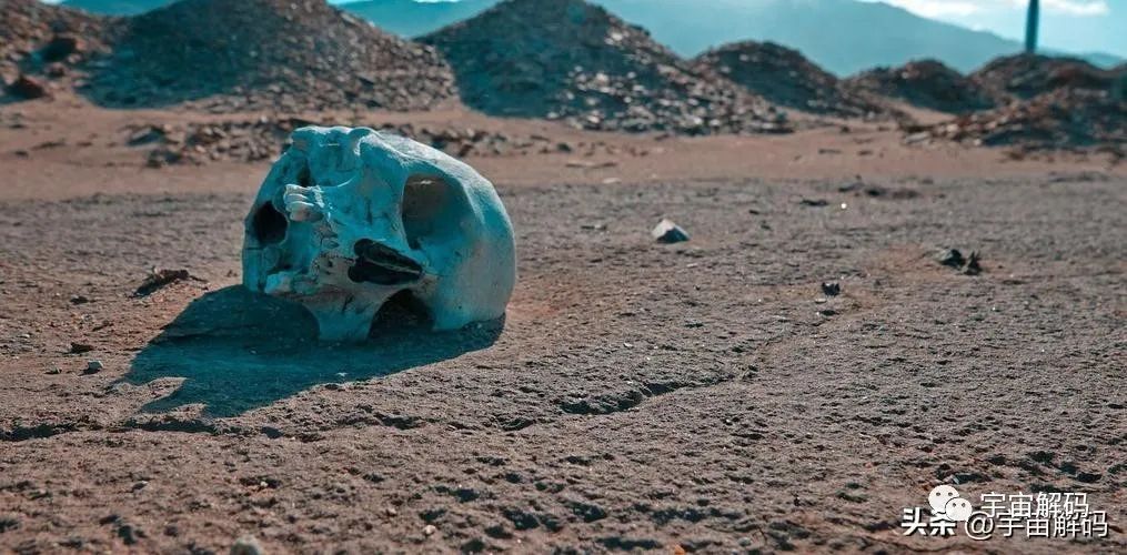 地球史上每6500万年一次的生物大灭绝，第六次已经拉开序幕
