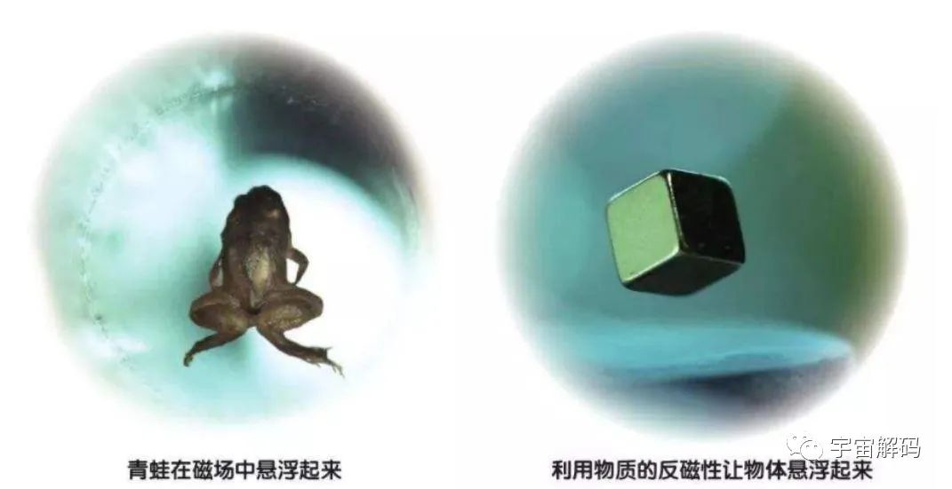磁石为什么不会吸附铜、铝等金属？