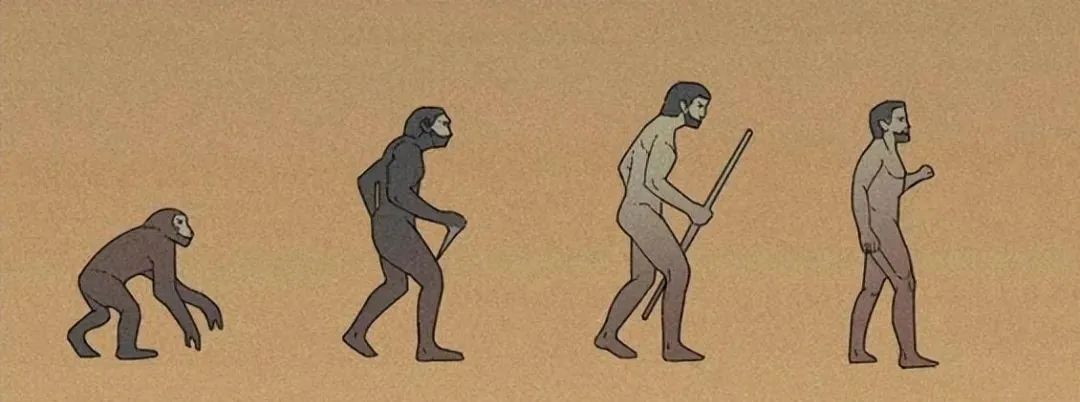 人是猴子变的，那猴子是啥变的，再往前又是啥？