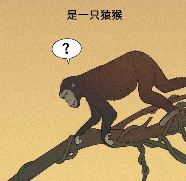 人是猴子变的，那猴子是啥变的，再往前又是啥？