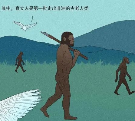 人是猴子变的，那猴子是啥变的，再往前又是啥？