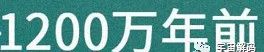 人是猴子变的，那猴子是啥变的，再往前又是啥？
