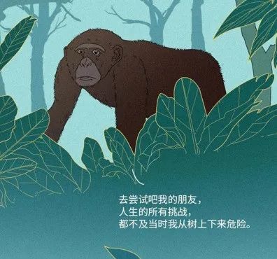人是猴子变的，那猴子是啥变的，再往前又是啥？