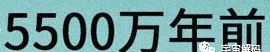 人是猴子变的，那猴子是啥变的，再往前又是啥？