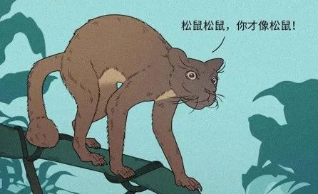 人是猴子变的，那猴子是啥变的，再往前又是啥？