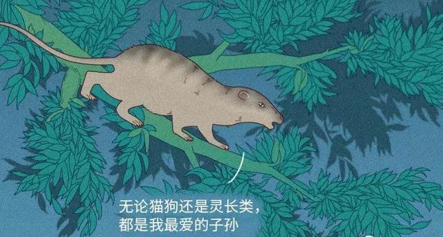 人是猴子变的，那猴子是啥变的，再往前又是啥？