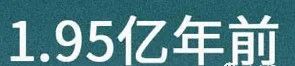 人是猴子变的，那猴子是啥变的，再往前又是啥？
