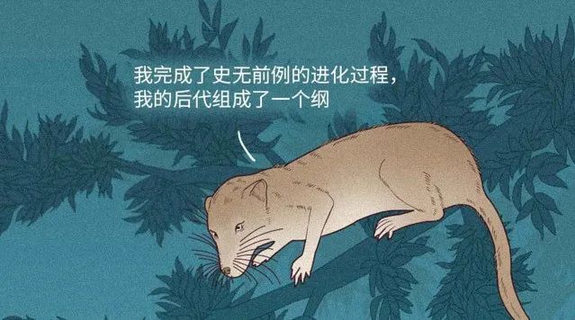 人是猴子变的，那猴子是啥变的，再往前又是啥？