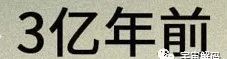 人是猴子变的，那猴子是啥变的，再往前又是啥？