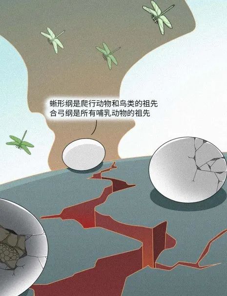人是猴子变的，那猴子是啥变的，再往前又是啥？