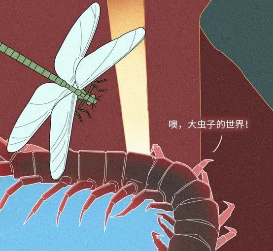 人是猴子变的，那猴子是啥变的，再往前又是啥？