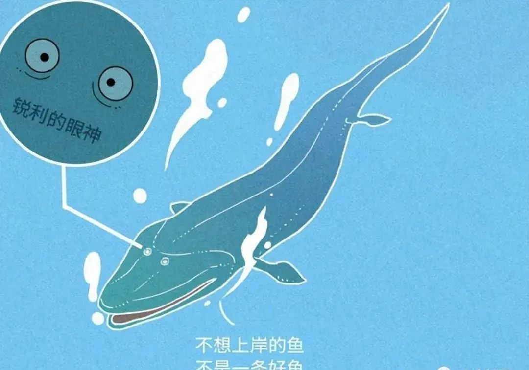 人是猴子变的，那猴子是啥变的，再往前又是啥？