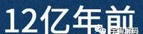 人是猴子变的，那猴子是啥变的，再往前又是啥？
