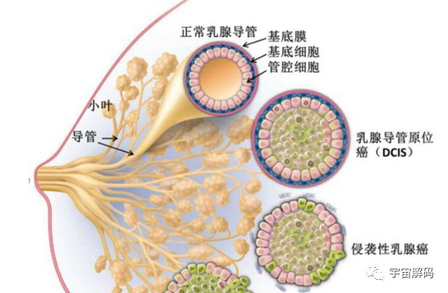 人类落入液氮后能幸免于难么？