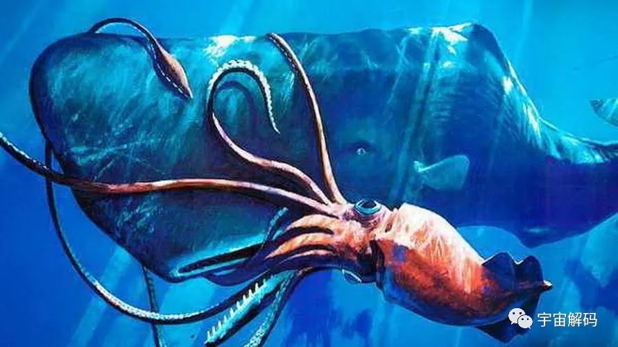 马里亚纳海沟深处有什么？
