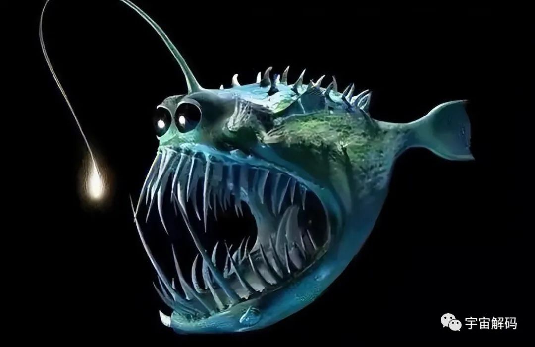 马里亚纳海沟深处有什么？