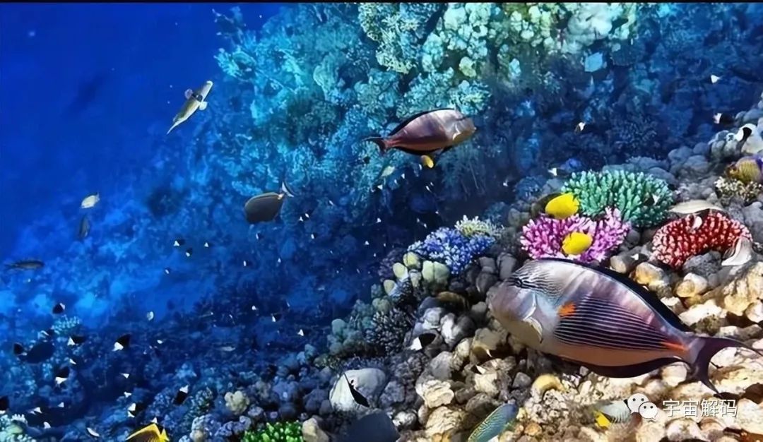 马里亚纳海沟深处有什么？