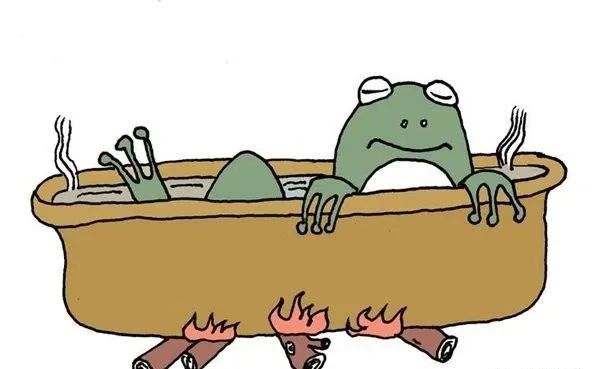 什么是青蛙效应？青蛙效应的启示和应用