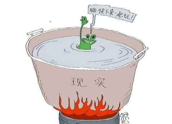 什么是青蛙效应？青蛙效应的启示和应用