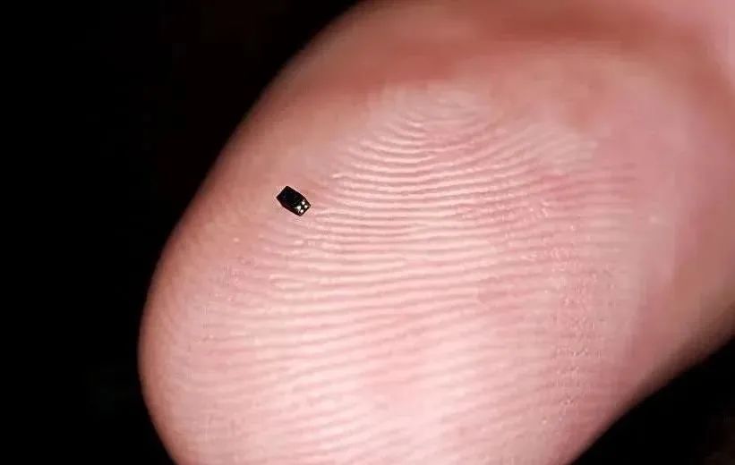 25张微观视图——显微镜看到的世界上最小的人类头发雕塑