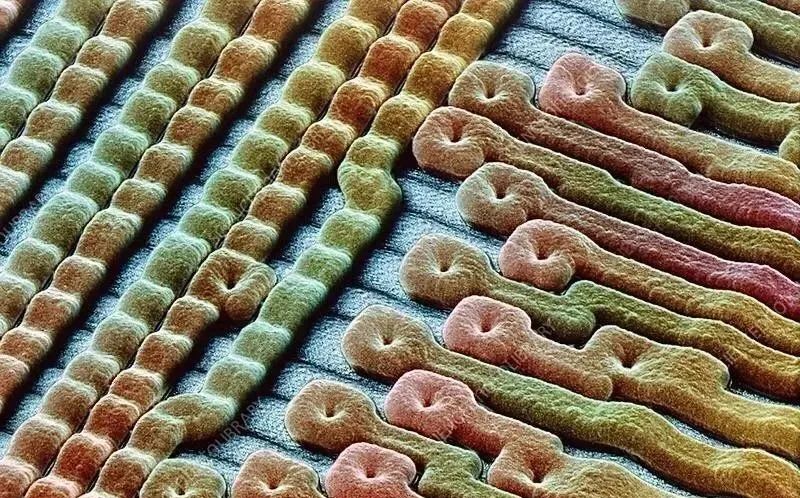 25张微观视图——显微镜看到的世界上最小的人类头发雕塑
