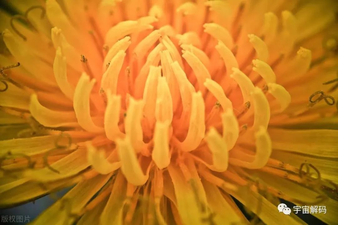 一个常见的物理现象，困扰科学家数百年的时间，至今都无法解释