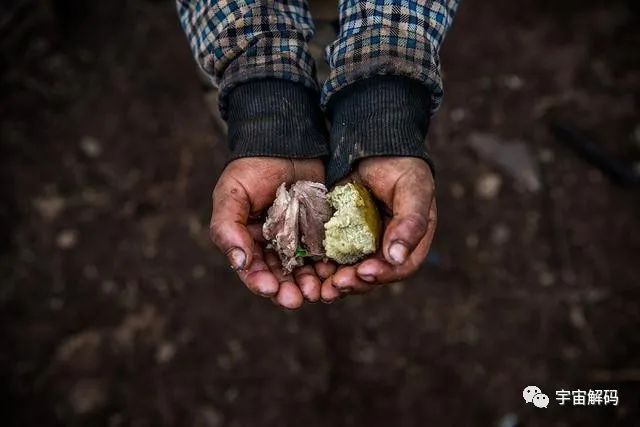 虱子与人类的“缠绵史”：与我们共存千万年，现在却很少见到了？