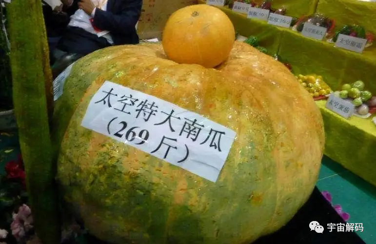 木星是气态行星，如果人类强行登“陆”，将会最终落到哪里？