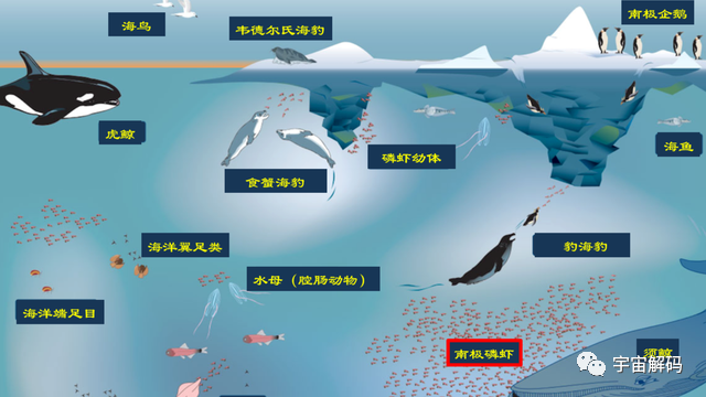 南极疑似巨大飞船坠毁痕迹，长11公里，宽2公里