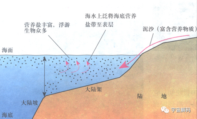 南极疑似巨大飞船坠毁痕迹，长11公里，宽2公里