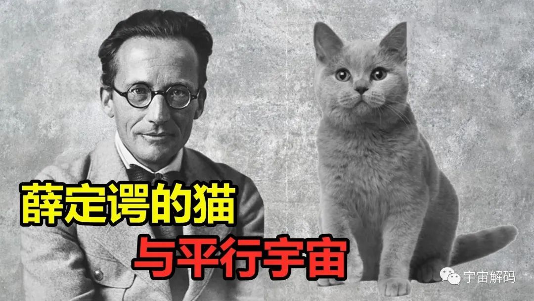 7个著名的悖论，困扰科学界数百年的时间，你能够解开吗？