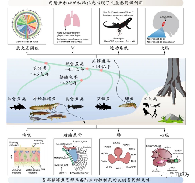 地球上，曾出现过上千亿人，是否泥土就是由腐尸构成的呢？