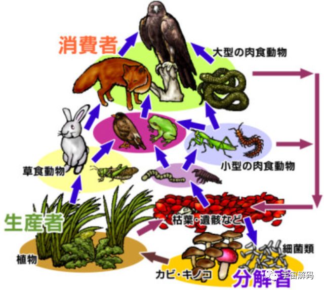 地球上，曾出现过上千亿人，是否泥土就是由腐尸构成的呢？