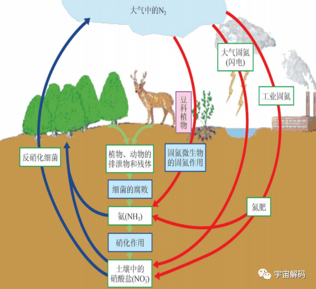 地球上，曾出现过上千亿人，是否泥土就是由腐尸构成的呢？