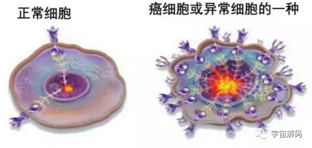 月球每年飞离地球4厘米！彻底脱离之日，地球便迎来流浪之时