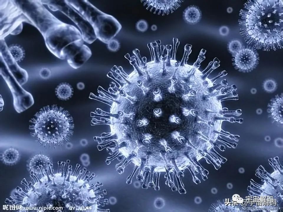 生命越复杂越脆弱，宇宙是孤独的，人类也是孤独的