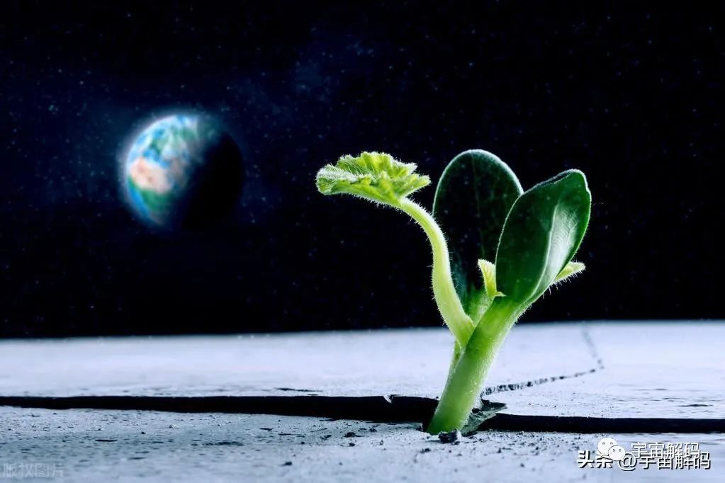 生命越复杂越脆弱，宇宙是孤独的，人类也是孤独的