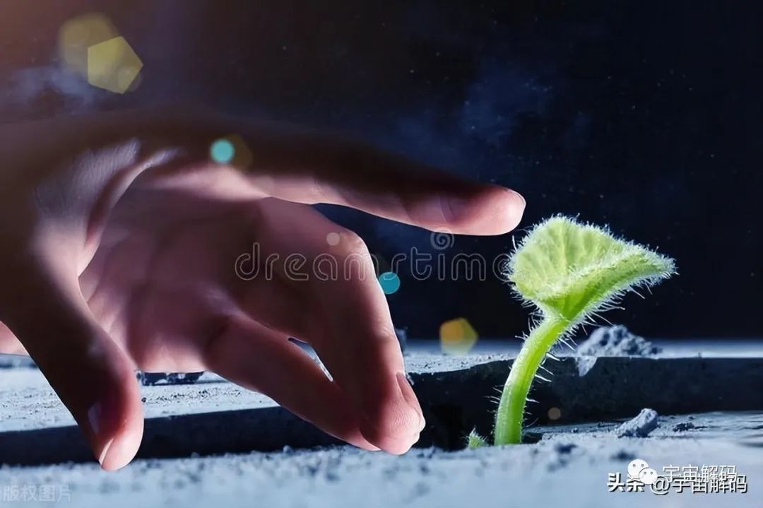 生命越复杂越脆弱，宇宙是孤独的，人类也是孤独的