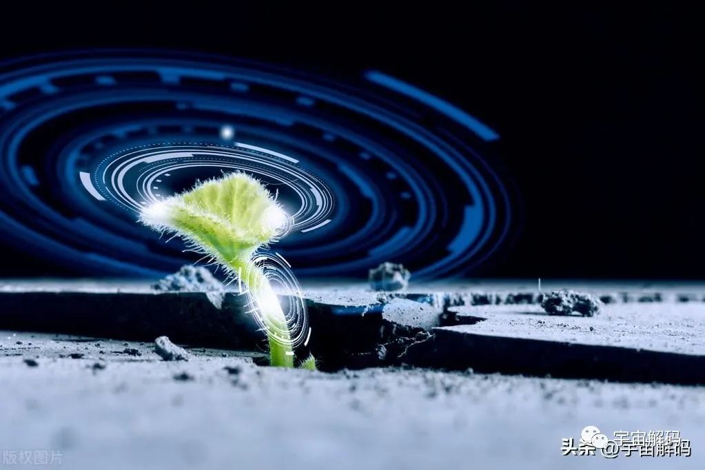 生命越复杂越脆弱，宇宙是孤独的，人类也是孤独的