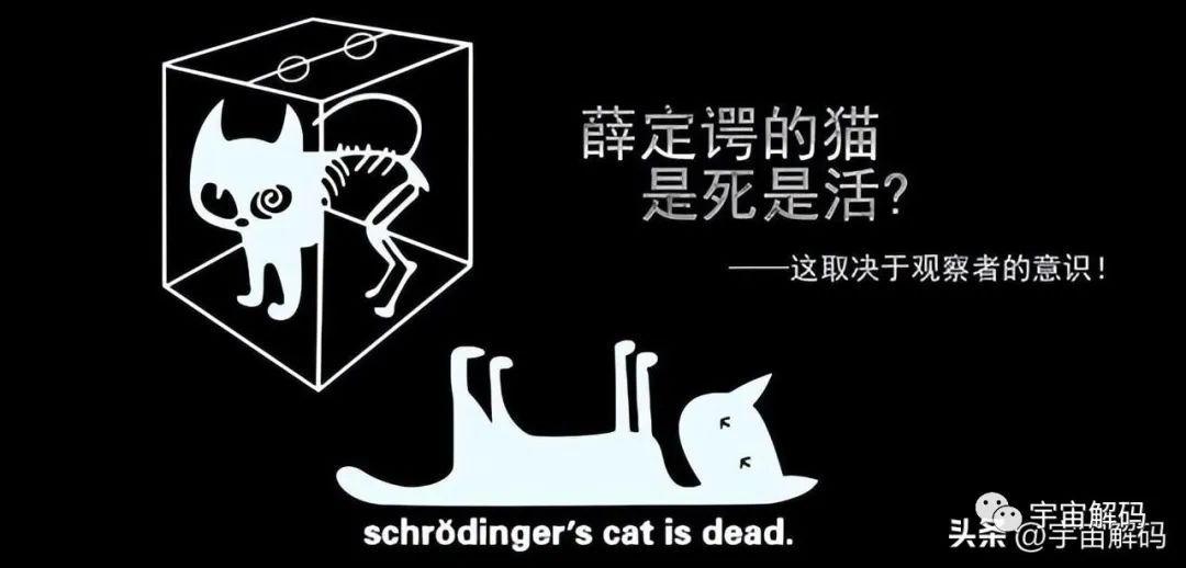 物理学争论了几百年，传统世界的因果论已不复存在