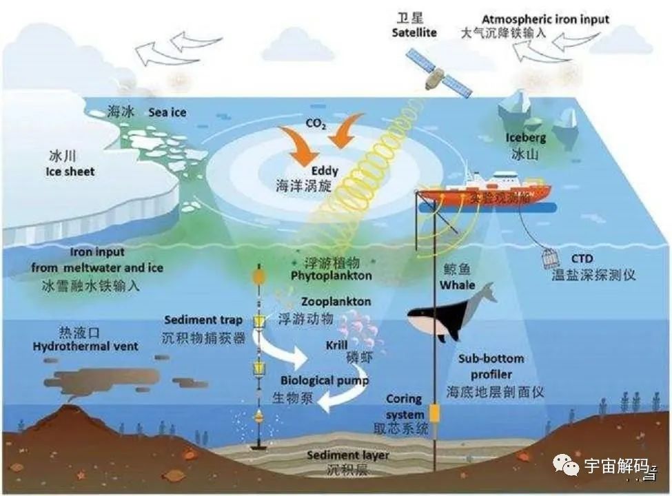 南大洋正疯狂吸碳，年吸碳量约比释放多5.3亿吨