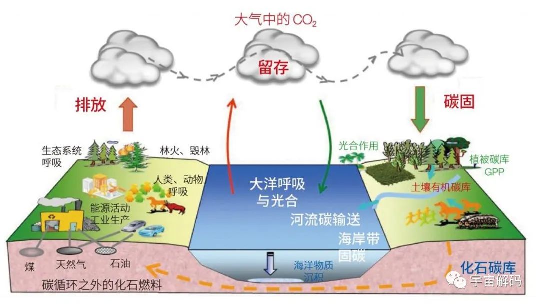 南大洋正疯狂吸碳，年吸碳量约比释放多5.3亿吨
