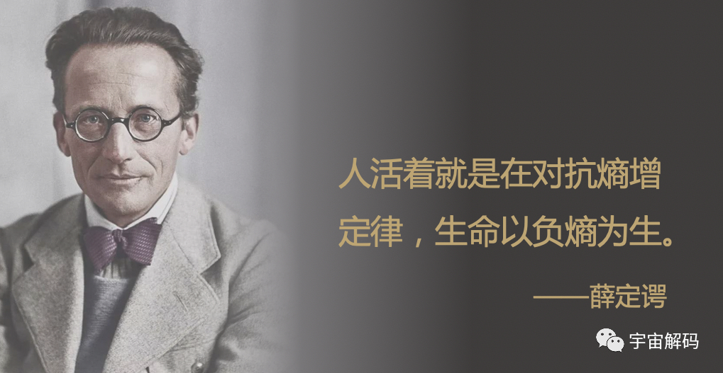 几种被证明是真的，但你却难以接受的理论，你都知道多少？