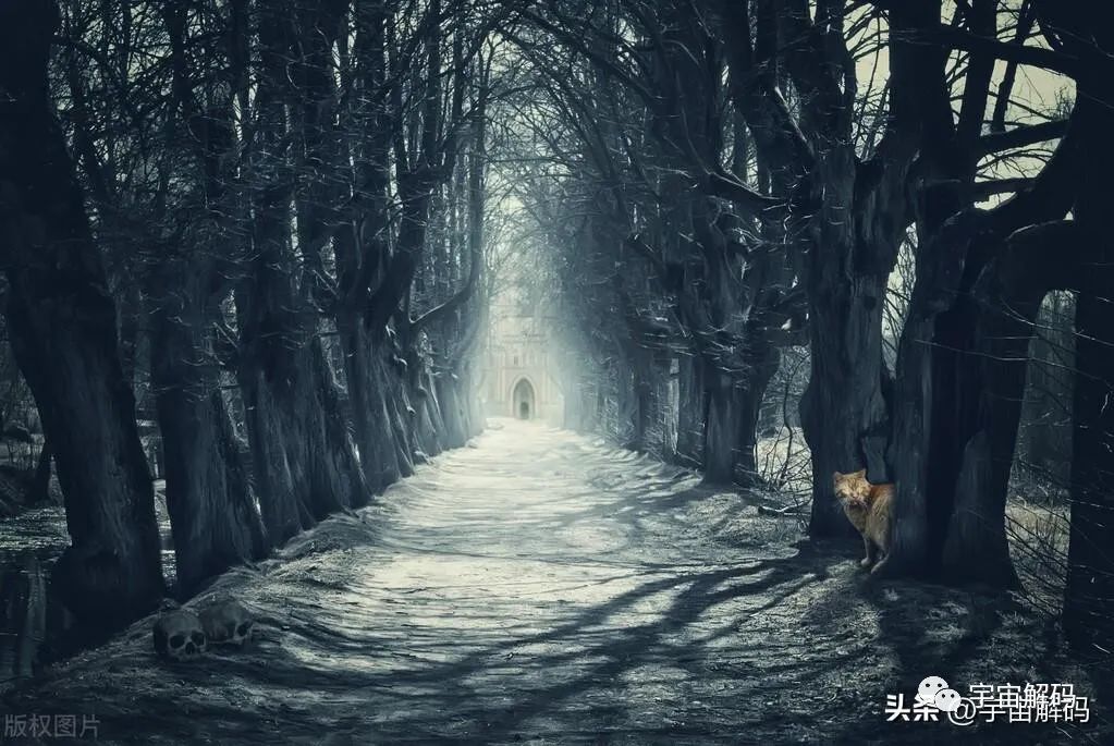 真正的宇宙法则：与黑暗森林截然相反
