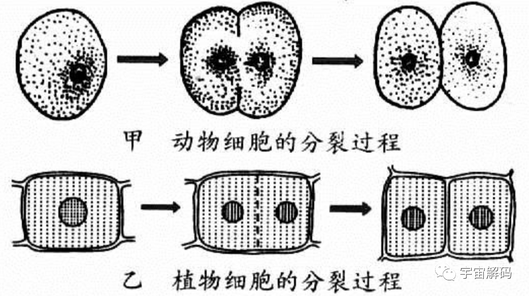 100年前的人类预测2023年：癌症被消除，人可以活到300岁