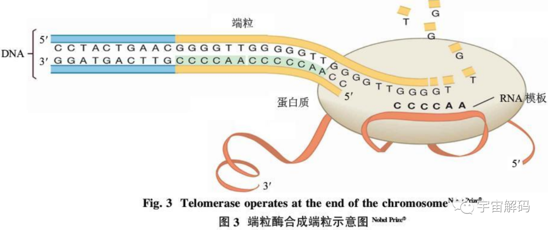 100年前的人类预测2023年：癌症被消除，人可以活到300岁